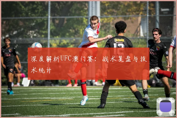 深度解析UFC澳门赛：战术复盘与技术统计
