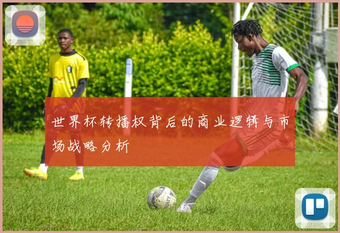 世界杯转播权背后的商业逻辑与市场战略分析